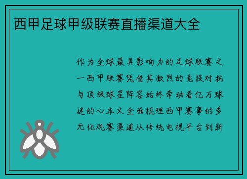 西甲足球甲级联赛直播渠道大全